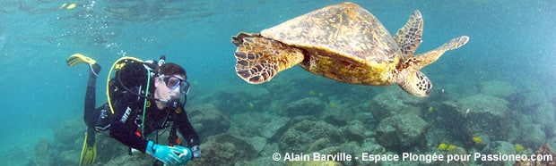 stage plongee : formation au niveau de plongee sous marine