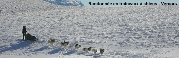 Chiens de traineaux : randonnée au coeur du Vercors