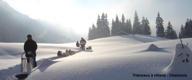 Randonnée en traineau à chiens à Chamonix