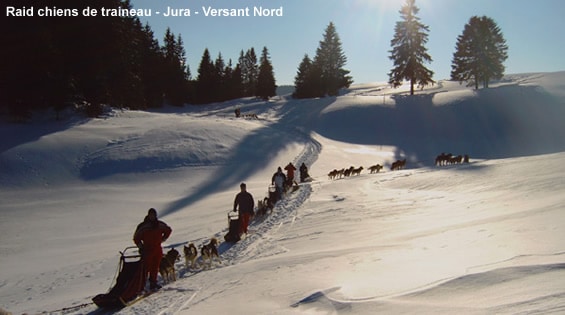 Randonnée chiens de traîneau dans le Jura
