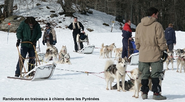 Randonnée chiens de traineaux dans les Pyrénées