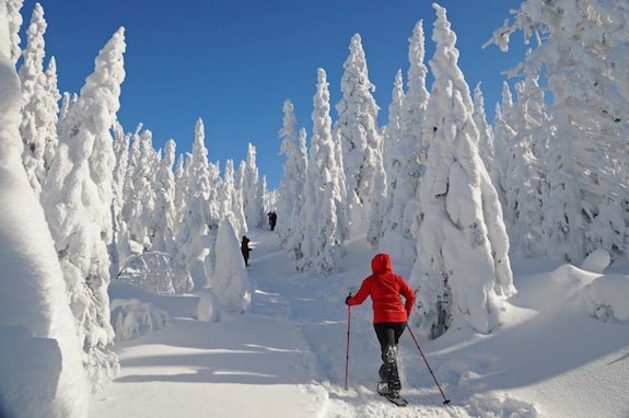 Le ski-hok : entre ski de rando et raquettes