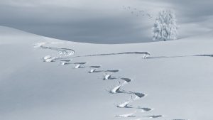 Quel équipement pour une randonnée sous la neige ? Quel équipement pour une randonnée sous la neige ?