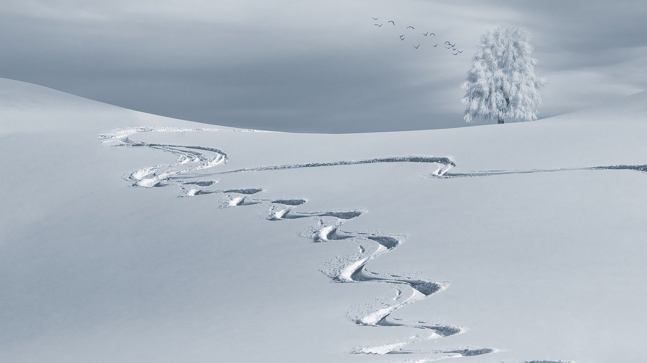 Quel équipement pour une randonnée sous la neige ?