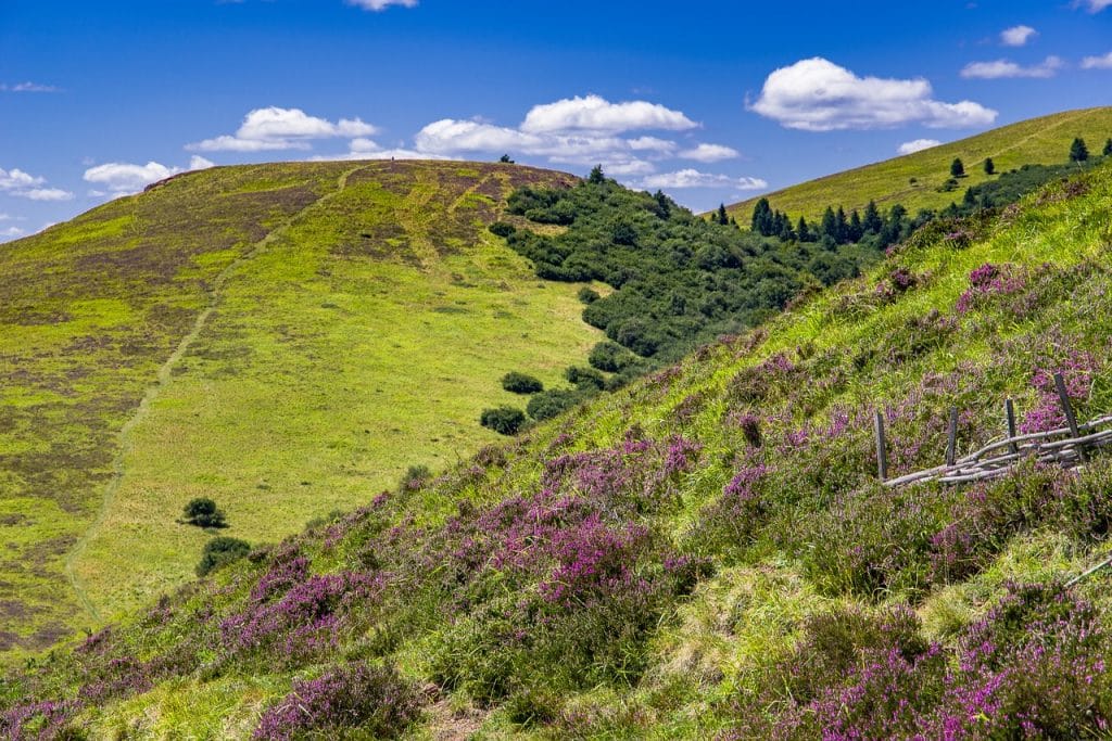 Quelles randonnées sur les volcans éteints d’Auvergne ?