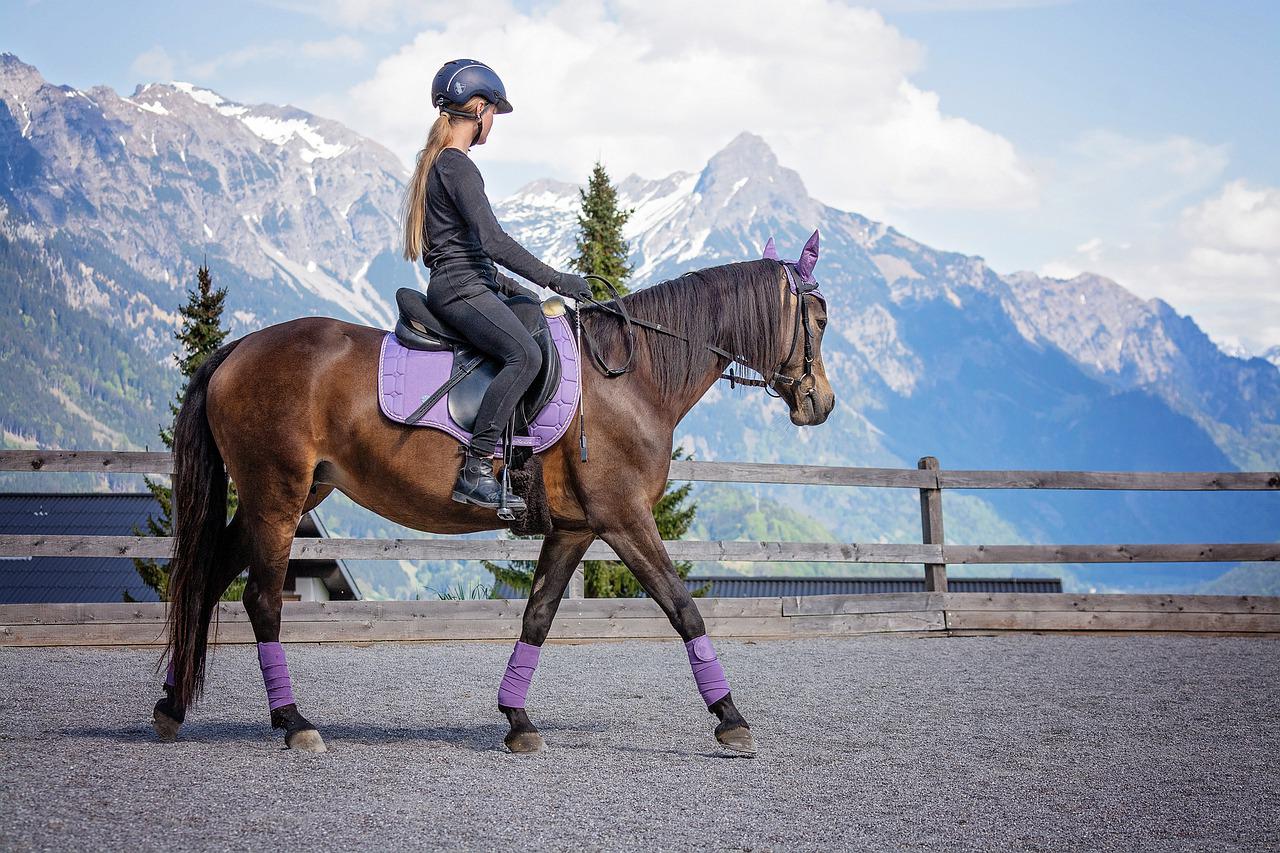 Comment choisir sa selle d’équitation ?