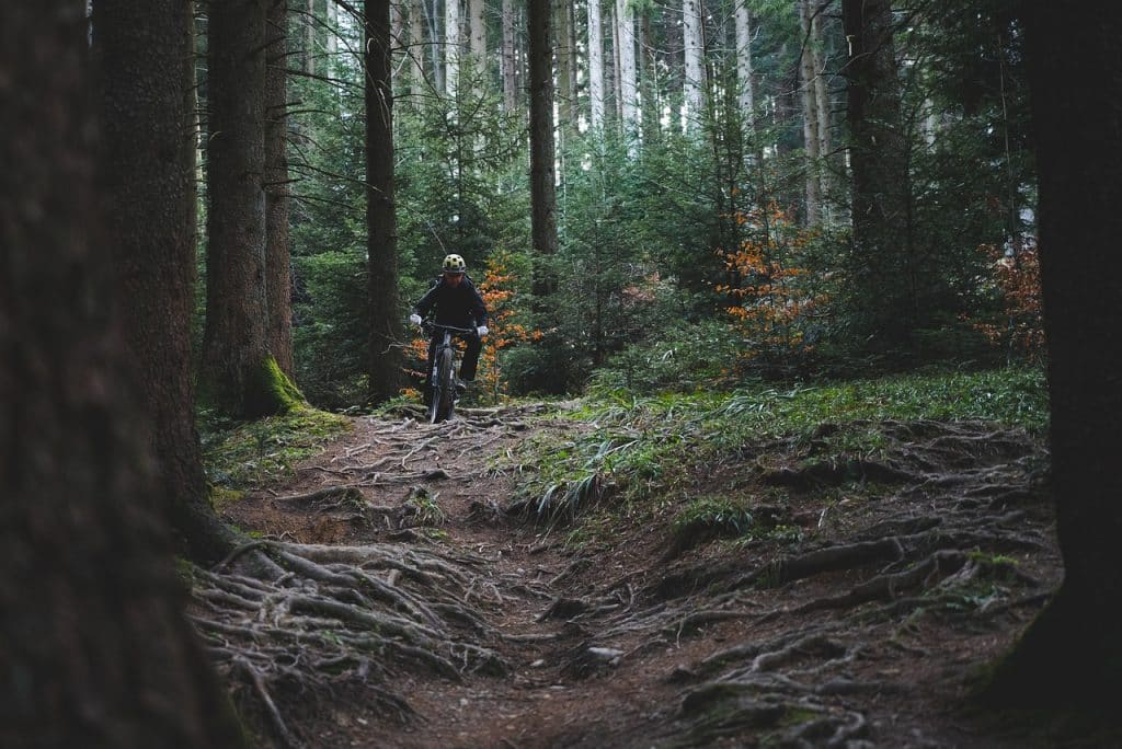 Qu&rsquo;est-ce qu&rsquo;un bon bike park ?